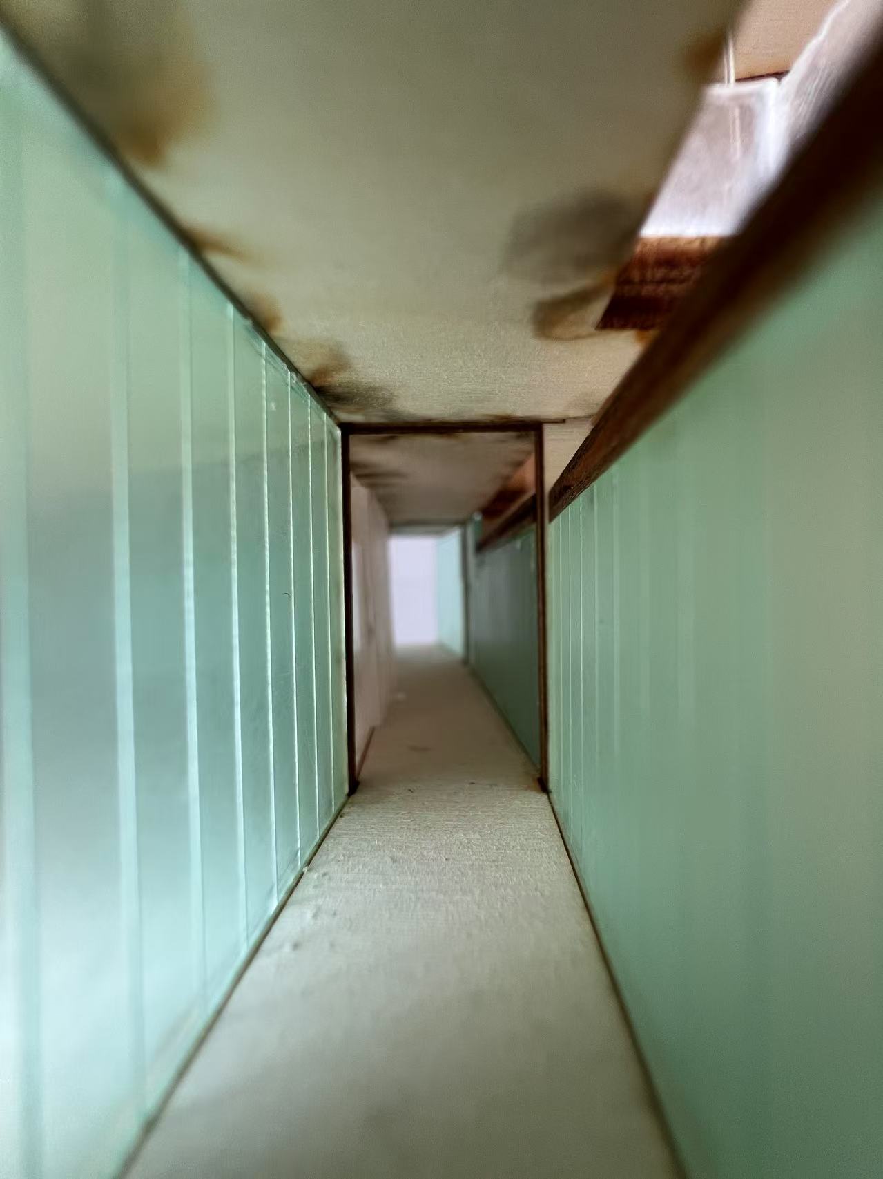 Model Image 13